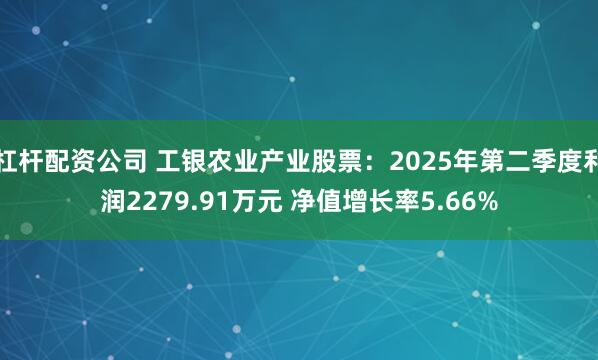 杠杆配资公司 工银农业产业股票：2025年第二季度利润2279.91万元 净值增长率5.66%