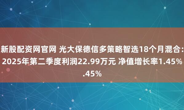新股配资网官网 光大保德信多策略智选18个月混合：2025年第二季度利润22.99万元 净值增长率1.45%